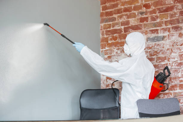  Oregon, OH Mold Removal Pros