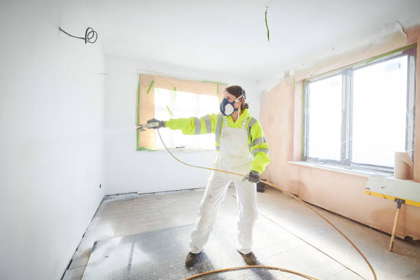 Best Attic Mold Removal  in Oregon, OH