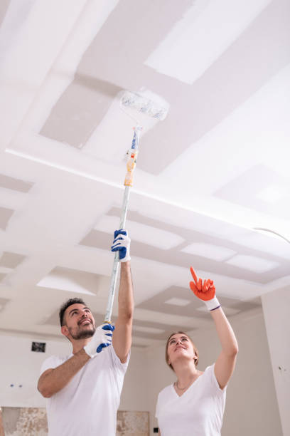 Best Dehumidification Services  in Oregon, OH