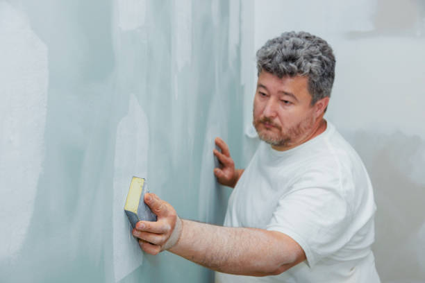 Professional Mold Removal in Oregon, OH