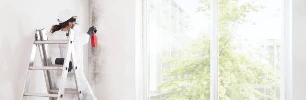 Best Environmental Consulting for Mold Prevention  in Oregon, OH